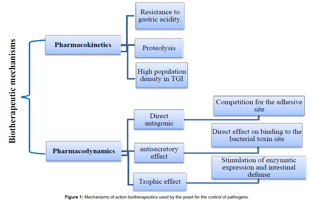 research-zoology-action-biotherapeutics