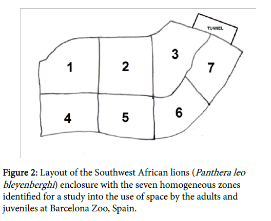 research-zoology-homogeneous-zones