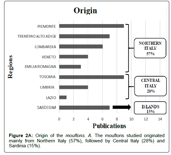 research-zoology-origin-mouflons research-zoology-origin-mouflons