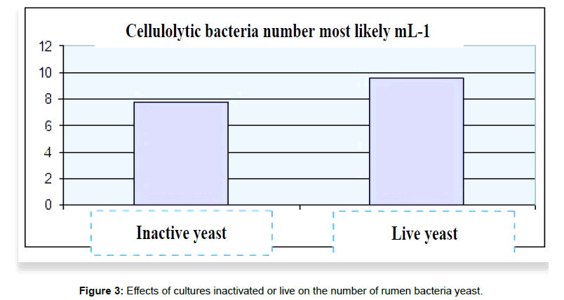 research-zoology-rumen-bacteria-yeast