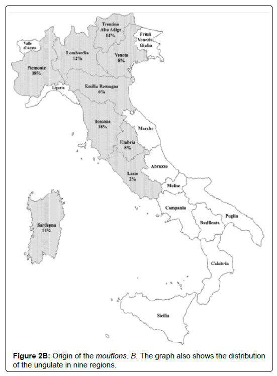 research-zoology-ungulate-nine-regions