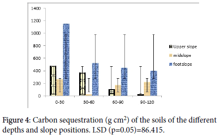 soil-science-plant-Carbon-sequestration