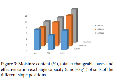 soil-science-plant-Moisture-content