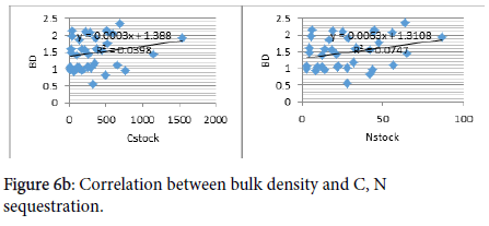 soil-science-plant-bulk-density