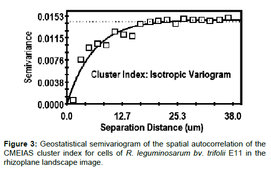 soil-science-plant-health-geostatistical-semivariogram