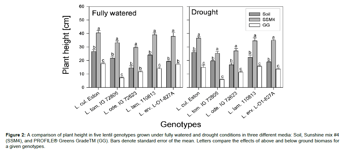 soil-science-plant-health-lentil-genotypes