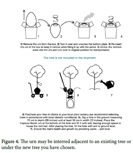 soil-science-plant-new-tree