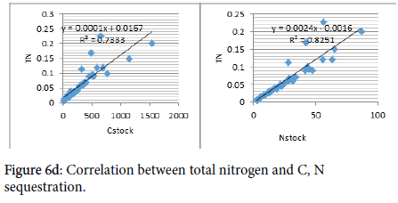 soil-science-plant-nitrogen