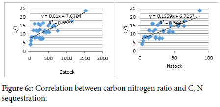 soil-science-plant-nitrogen-ratio