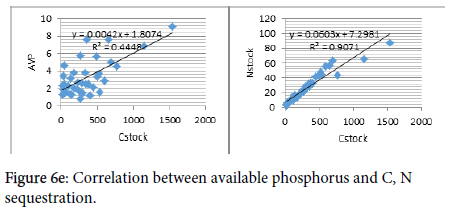 soil-science-plant-phosphorus