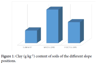 soil-science-plant-slope-positions