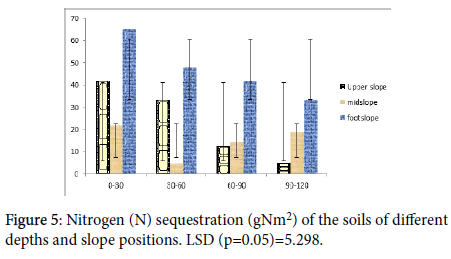 soil-science-plant-slope-positions