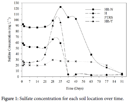 soil-science-plant-soil-location