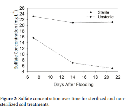 soil-science-plant-soil-treatments