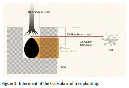 soil-science-plant-tree-planting