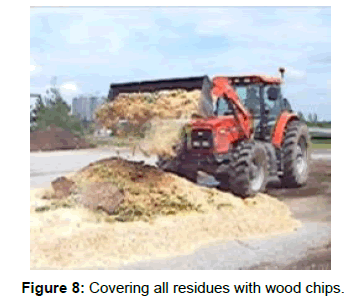 soil-science-plant-wood-chips