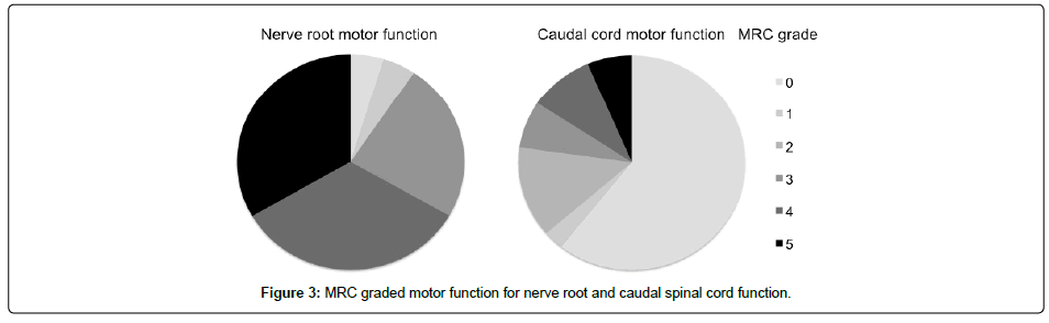 spine-neurosurgery-MRC-graded