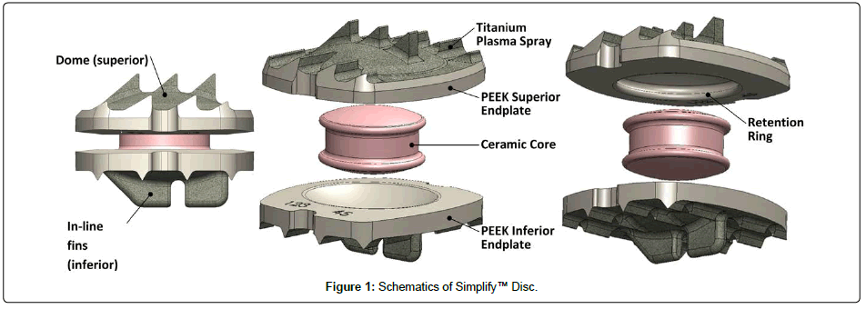 spine-neurosurgery-Schematics