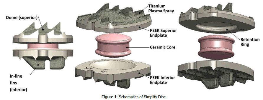 spine-neurosurgery-Simplify-Disc