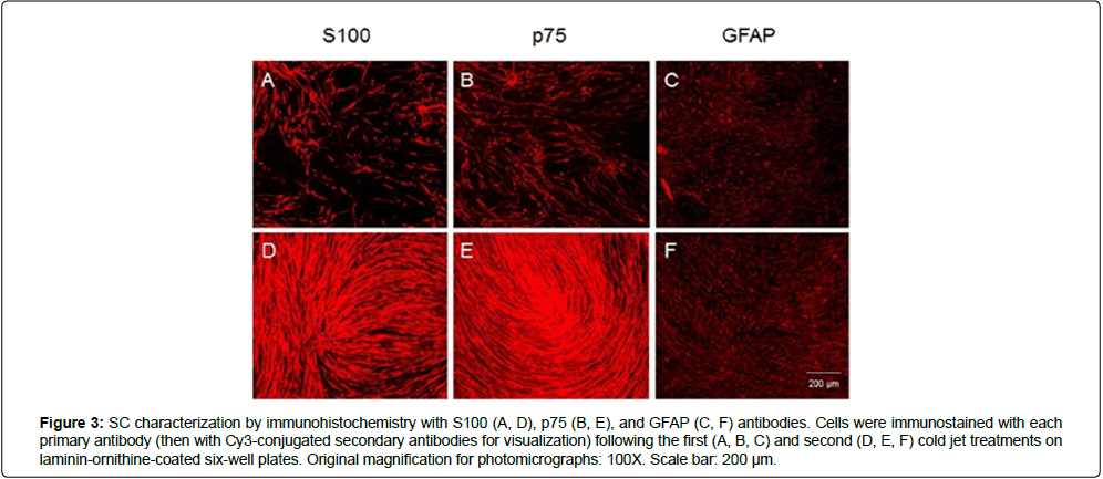 spine-neurosurgery-ornithine-coated