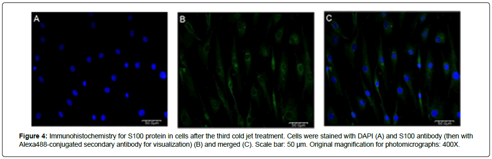 spine-neurosurgery-photomicrographs