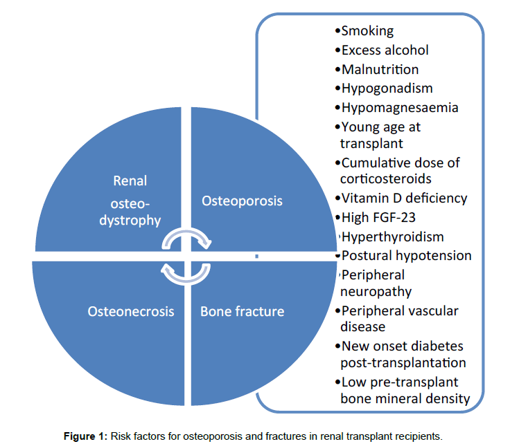 transplantation-transplant-recipients