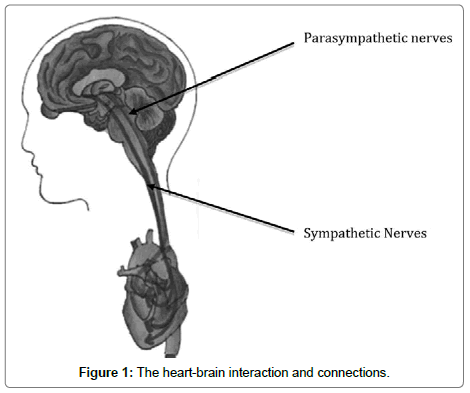 traumatic-stress-heart-brain