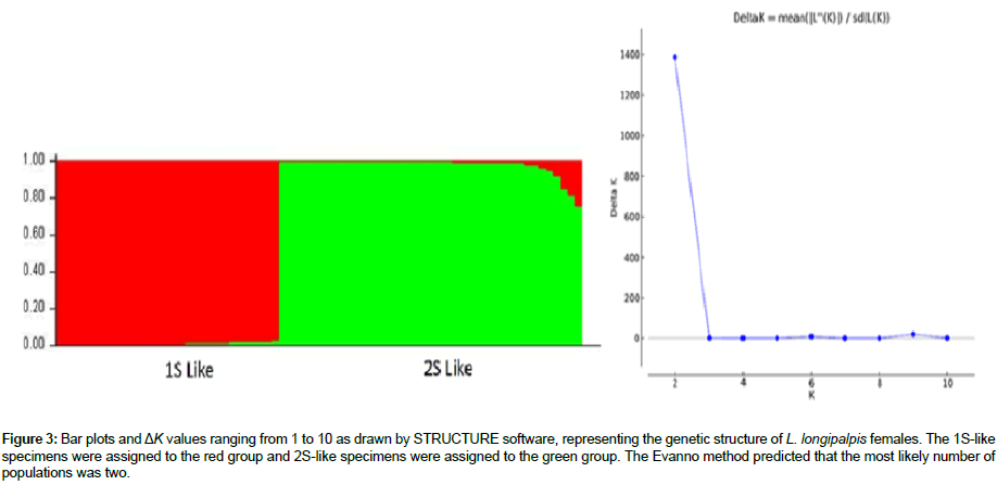 vector-biology-Bar-plots