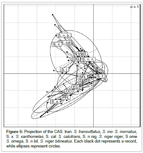 vector-biology-Projection-CAS