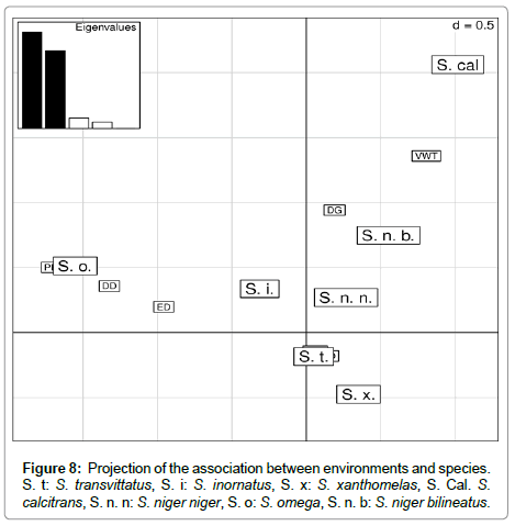 vector-biology-Projection-environments