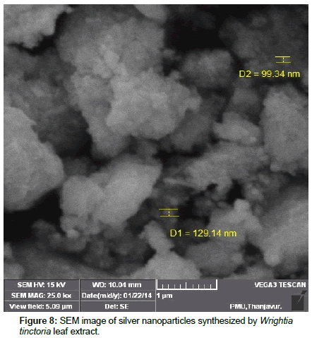 vector-biology-SEM-silver