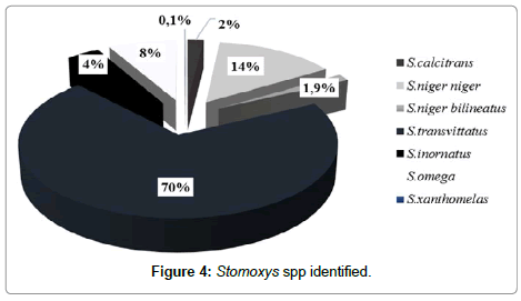 vector-biology-Stomoxys