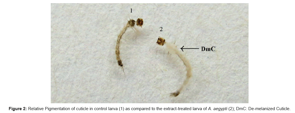 vector-biology-control-larva