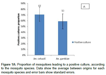 vector-biology-positive-culture