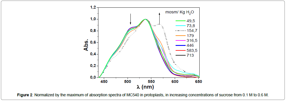 vegetos-absorption-spectra