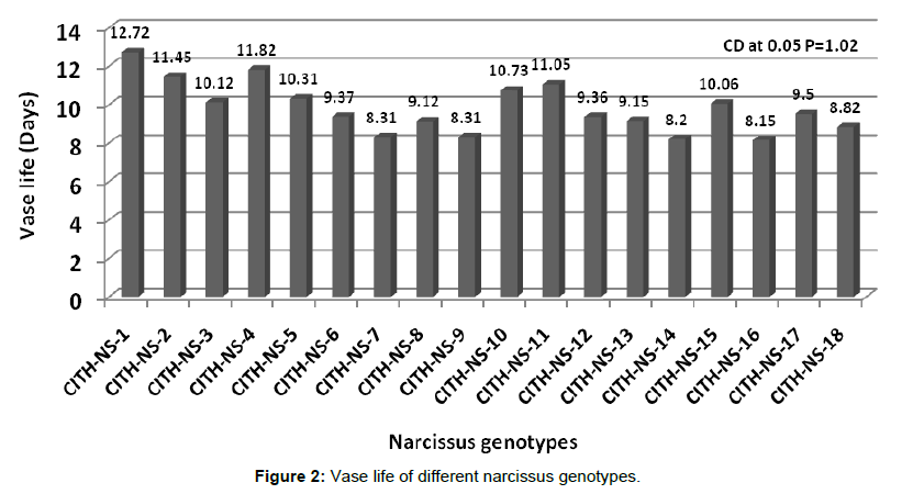 egetos-narcissus-genotypes