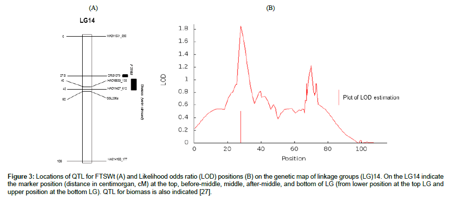 vegetos-odds-ratio