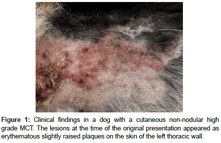 veterinary-science-Clinical-findings