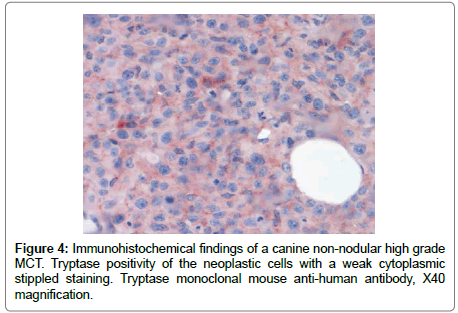 veterinary-science-Immunohistochemical