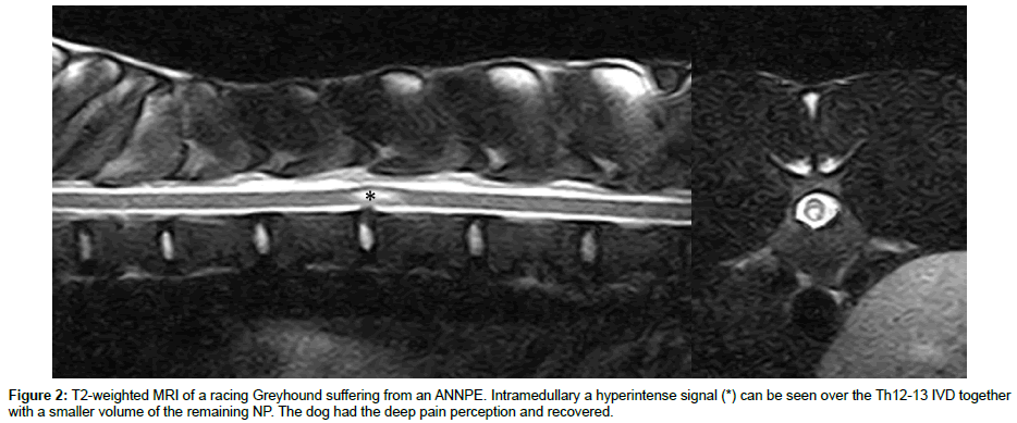 veterinary-science-deep-pain