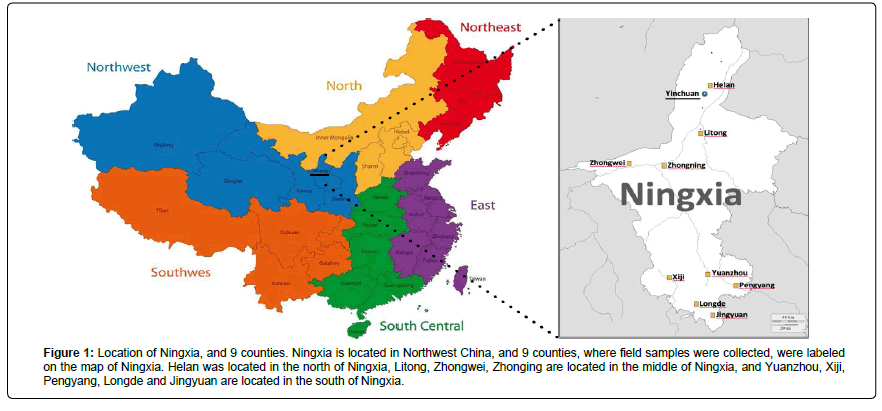 veterinary-science-medical-diagnosis-Location-Ningxia