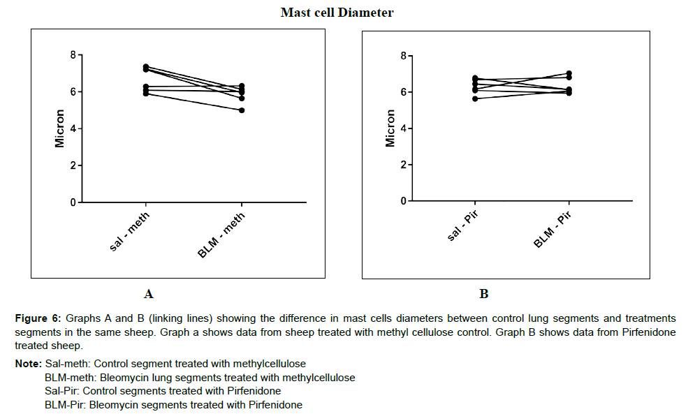 veterinary-science-medical-diagnosis-mast-cell-size