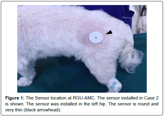 veterinary-science-medical-diagnosis-sensor-thin