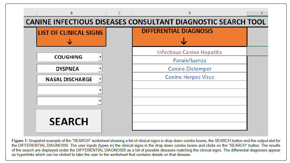 veterinary-science-medical-diagnosis-worksheet