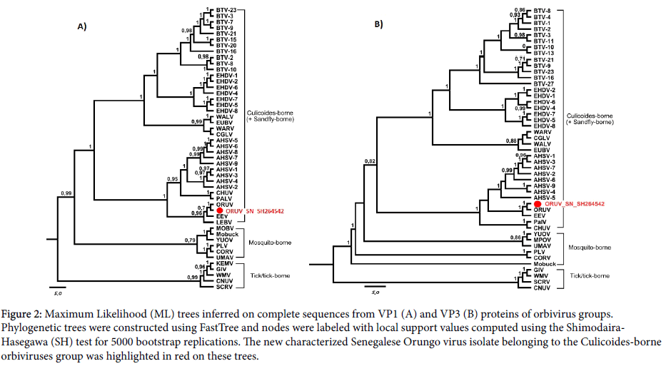 virology-antiviral-research-Maximum-Likelihood