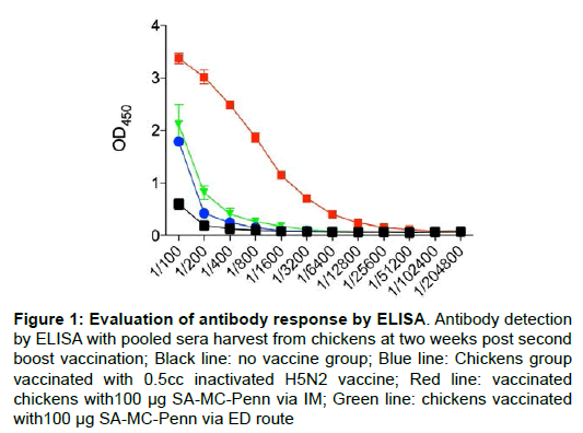 virology-antiviral-research-antibody-response
