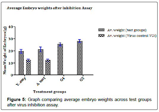 virology-antiviral-research-average-embryo