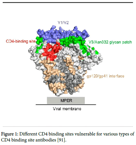virology-antiviral-research-binding-site