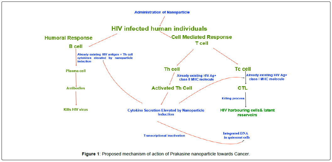 virology-antiviral-research-prakasine-nanoparticle