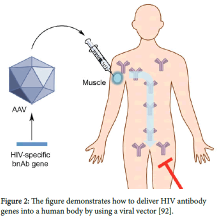 virology-antiviral-research-viral-vector